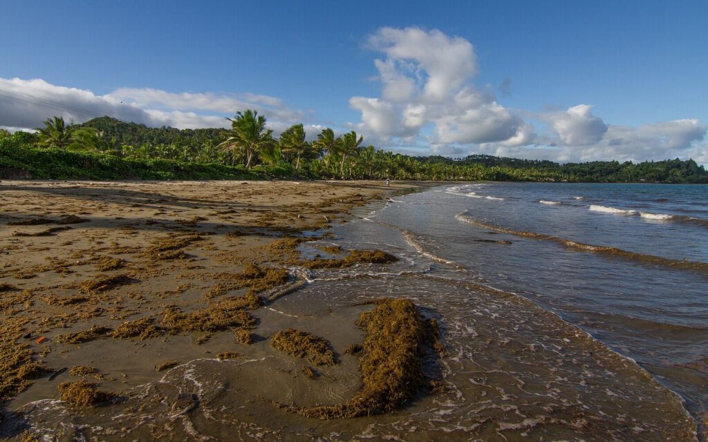 Sheraton Fiji Golf & Beach Resort, Fidži