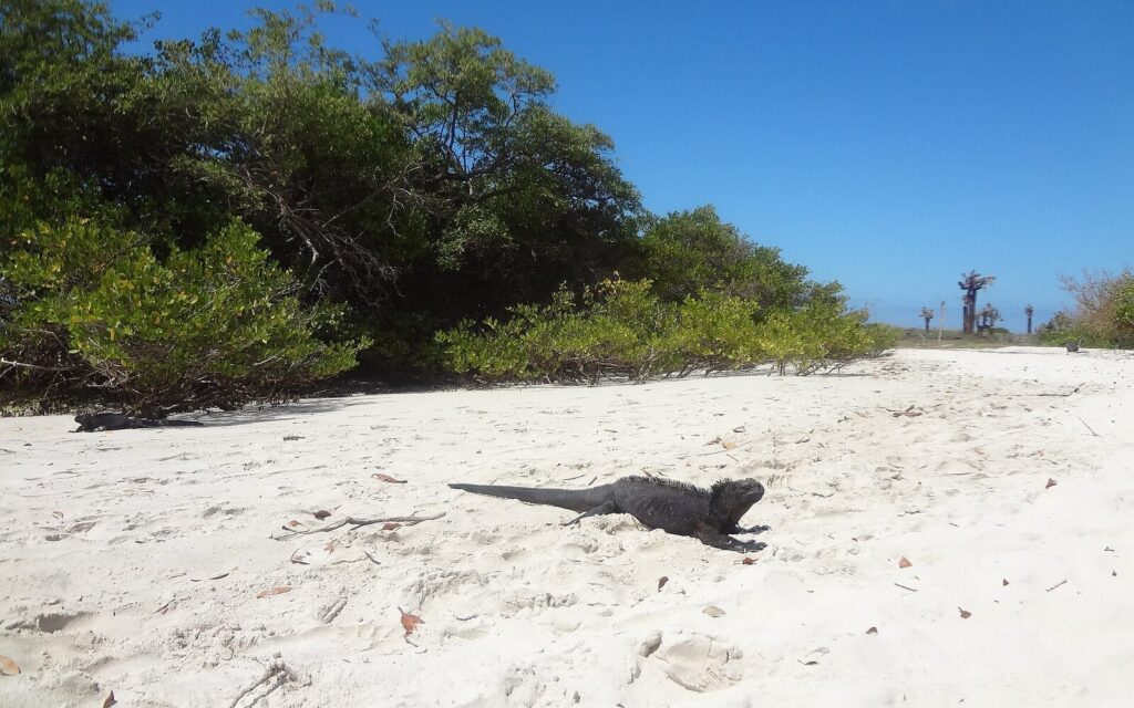 Finch Bay Galapagos Hotel, Ekvádor