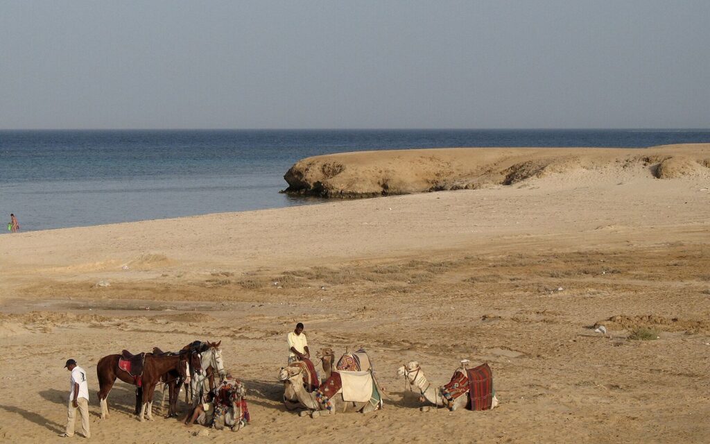 Steigenberger Coraya Beach, Egypt